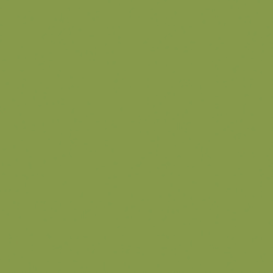 Kiwi zelená
